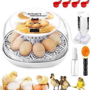 MYMULIKEHOME 12-Egg Automatic Incubator with Egg Turner, Humidity Control, 360° Clear View & Egg Candler for Chickens Ducks Quails