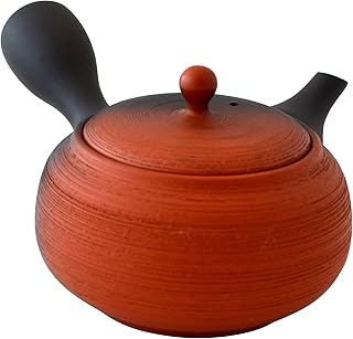 常滑焼 松皮黒吹き 急須 本茶こし 朱泥 K31-2