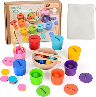 Montessori Toy from 1 2 3 Years, Baby Motor Skills Toy, Wooden Colours, Sorting Game, Stacking Game, Sensory Toy & Educational Toy for Preschool for Colour Sorting and Counting, Gift for Baby