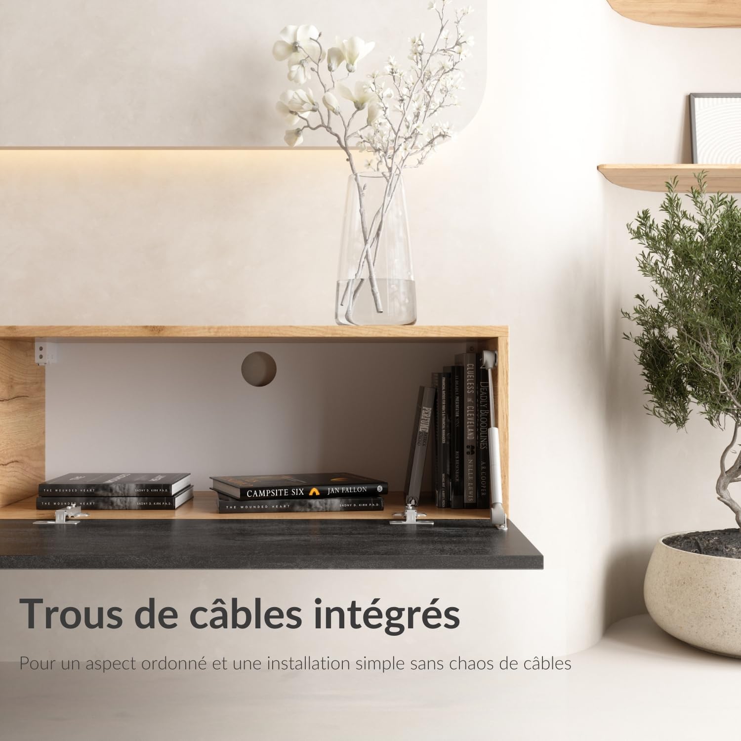 Planetmöbel Meuble TV West, Table TV 100 cm de Long, Meuble Tele Suspendu ou posé au Sol, Table Television pour Salon, Meuble TV 37,8 x 100 x 30 cm, chêne doré Noir Charcoal