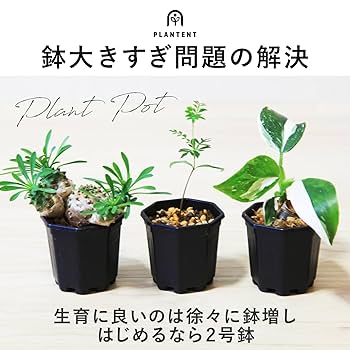 CBS日本公式アカウント02 MASSES 鉢皿 セットM/L CBS日本公式アカウント02 様専用MASSES 鉢皿 セットM/L