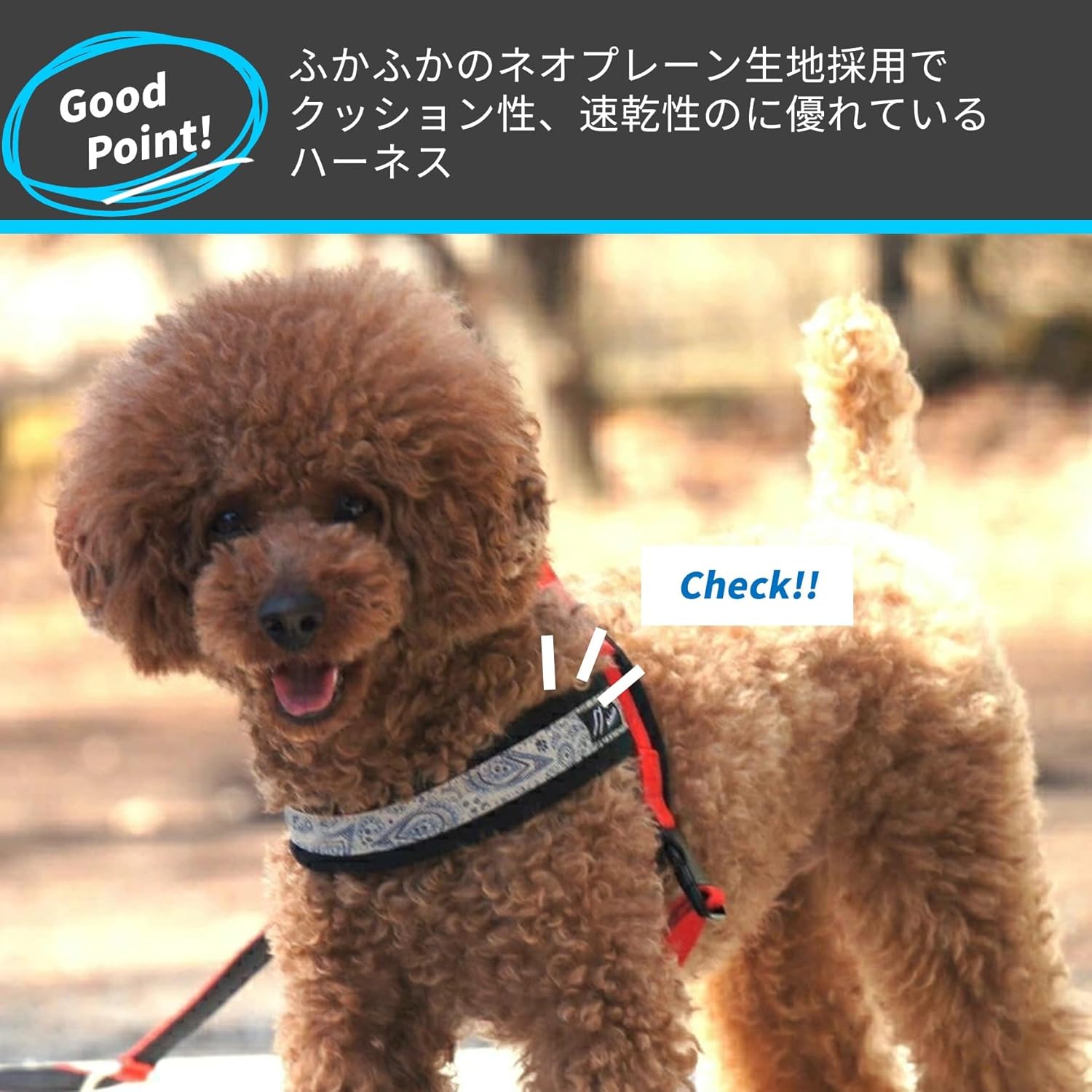 Just Fit Harness (4, Raspberry x Hotpink)