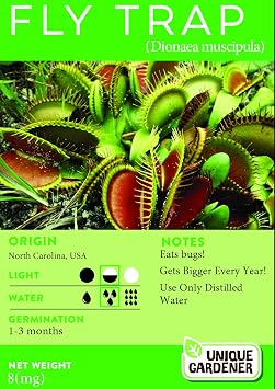 Exotic Venus Flytrap Dionaea muscipula Seeds Count 30 Seeds