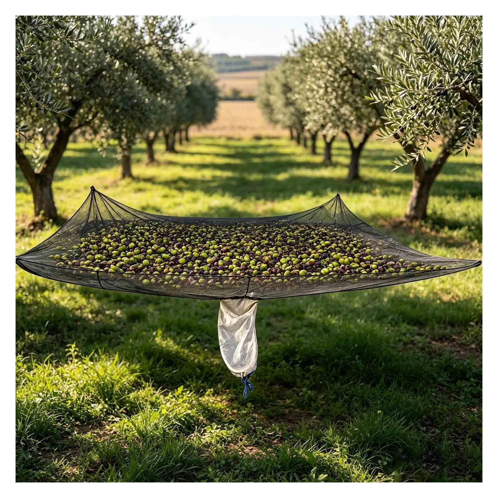 Manto para Recolección De Frutos, Resistente y Flexible Recolector De Frutas con Corte Central para Olivo, Nogal, Morera, Castaño,Square-13×12.5ft(4 * 3.8m)