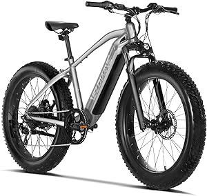 VELOWAVE 750W Electric Bike