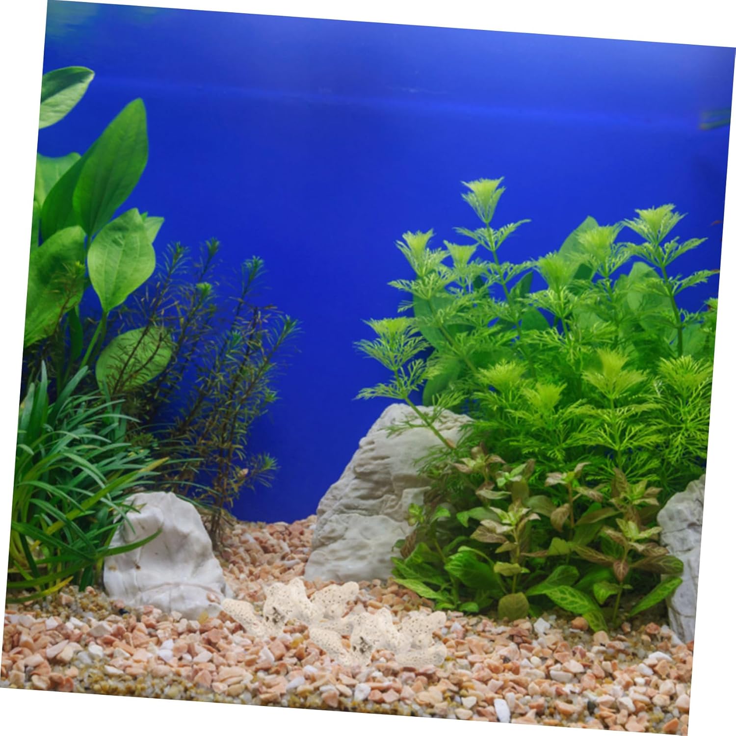Happyyami 2packs Natural Crushed Aquarium Stones of Coral Filtration Rocks for Fish Tanks Landscape Decor Provides Shelter and Hiding Spots for