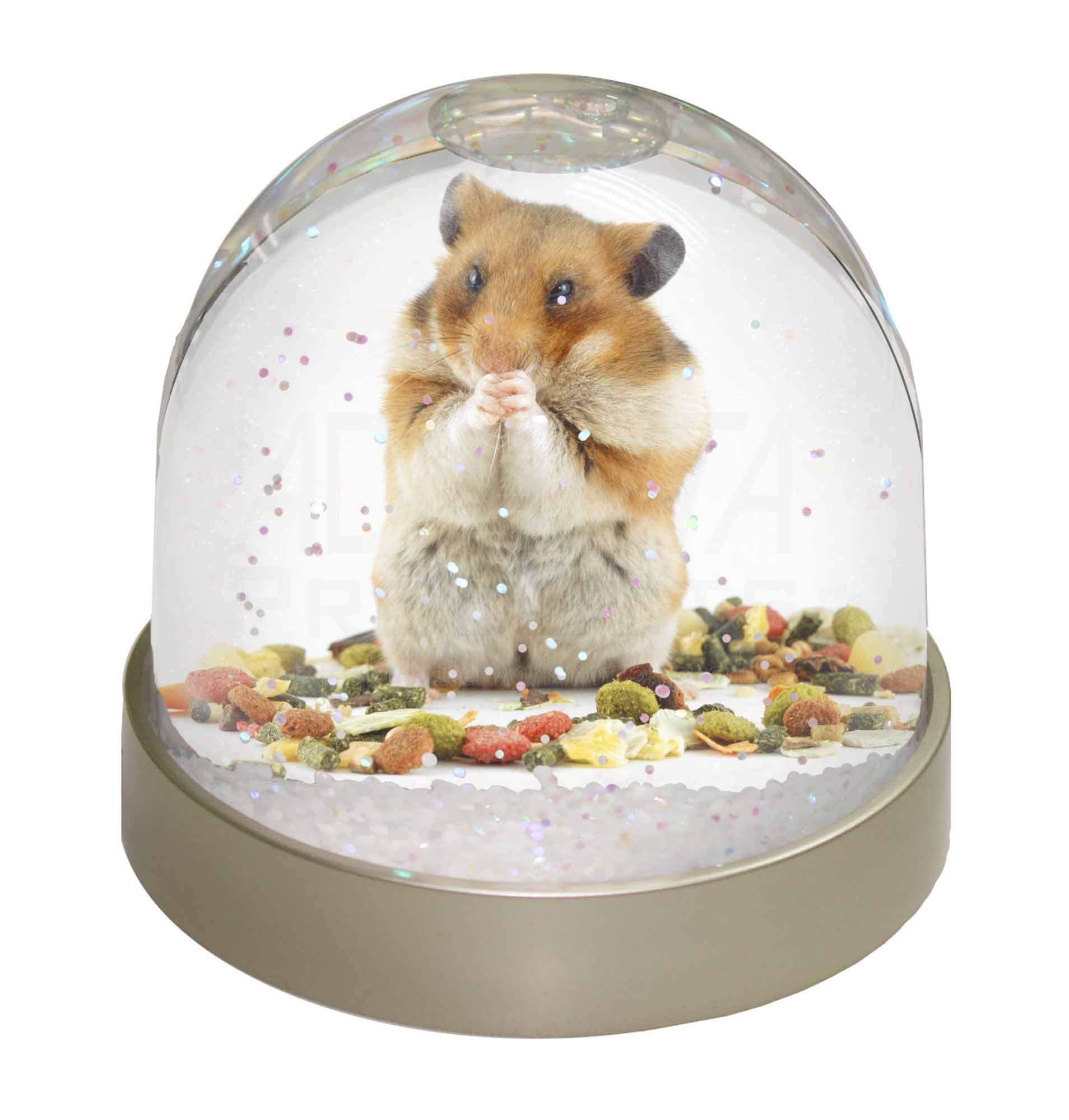 Lunch Box Hamster Photo Snow Globe Waterball - Advanta Group®