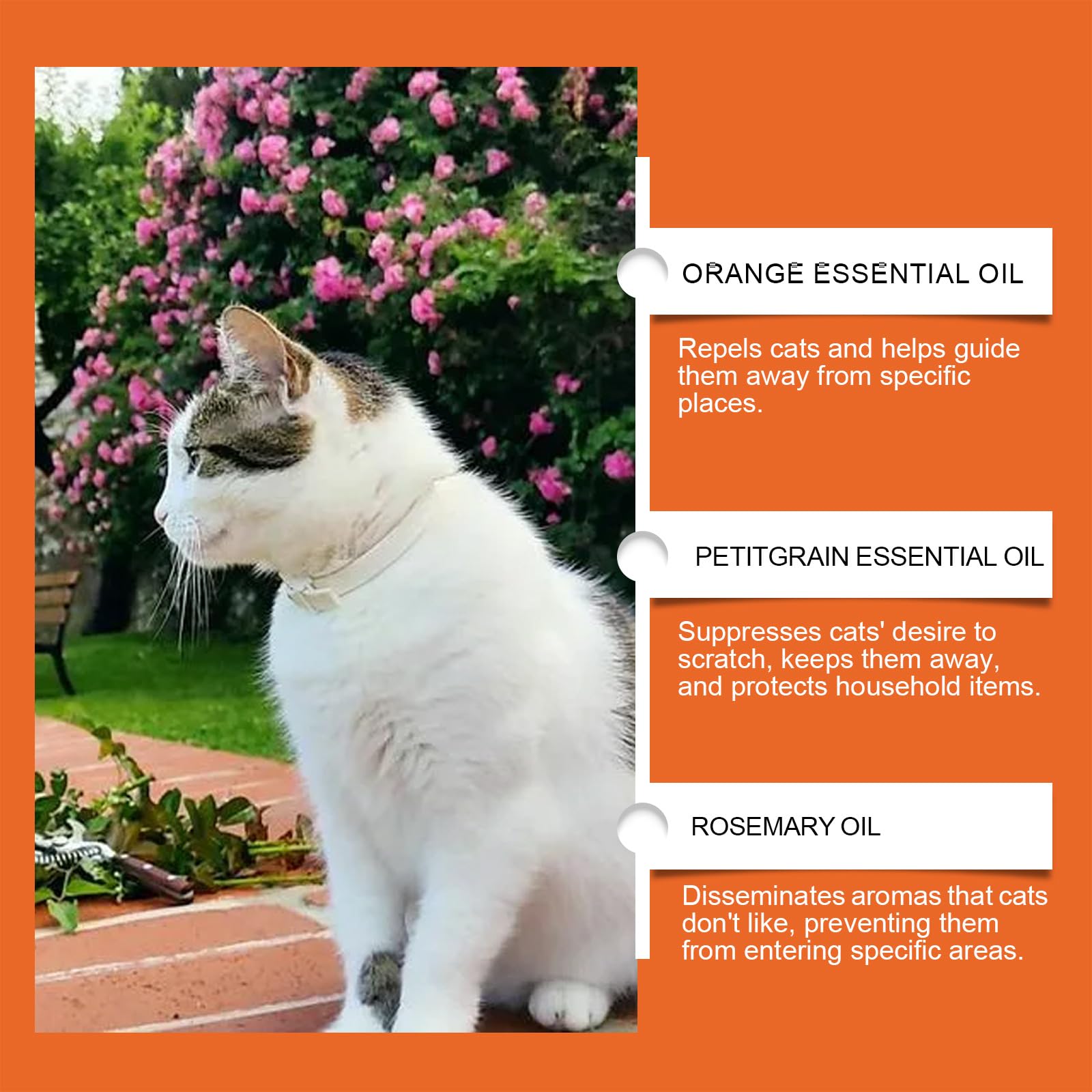 Générique Spray Anti Griffure Chat, Spray D'entraînement Chat, Protecteur de Meubles Contre Les Rayures de Chats pour Chats, Chiens, Intérieur et Extérieur, Canapé, Porte, Tabl 100 ML