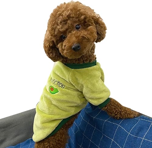 Ropa para cachorros, suéter de invierno cálido, franela de terciopelo para mascotas, gatos, lindo forro polar de frutas, peluche de bichón
