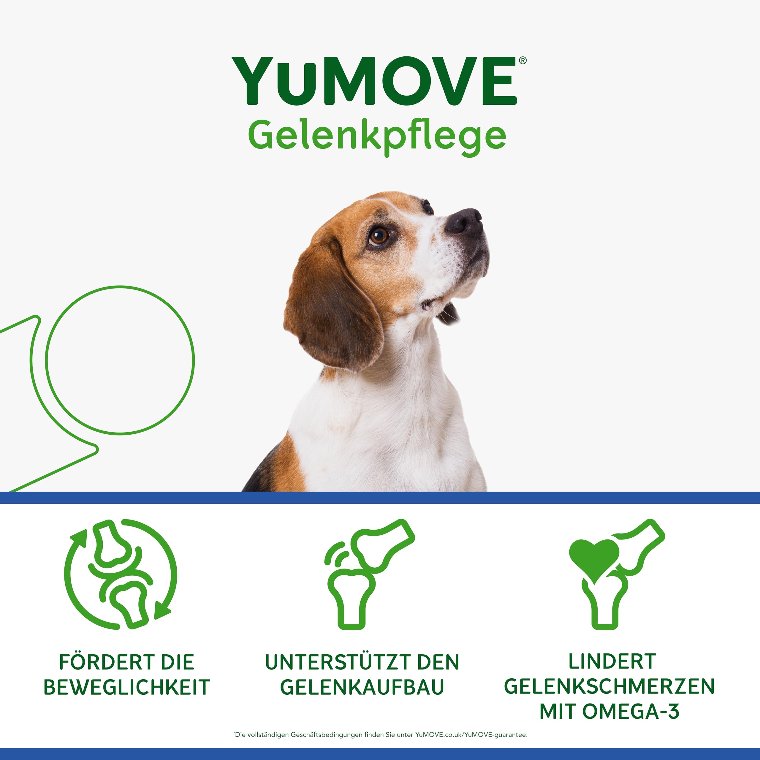 YuMOVE Gelenktabletten Hund 120 Tabletten - Gelenke & Beweglichkeit Altere Hunde 8+ Jahre - 170mg Jede Tablette Patent Angemeldet ActivEase Grünlippmuschel Hund - Mit Glucosamin, Chondoitin & Omega-3