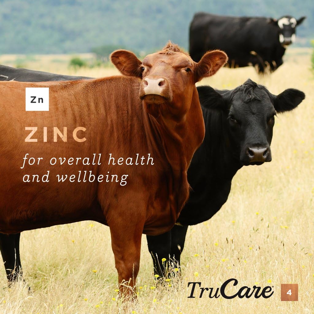 TruCare 4 Top-Dress Trace Mineral Blend for Livestock: Beef Cattle, Dairy Cattle, Deer, Elk, Goats (Zinc, Manganese, Copper, Cobalt) : Patio, Lawn & Garden
