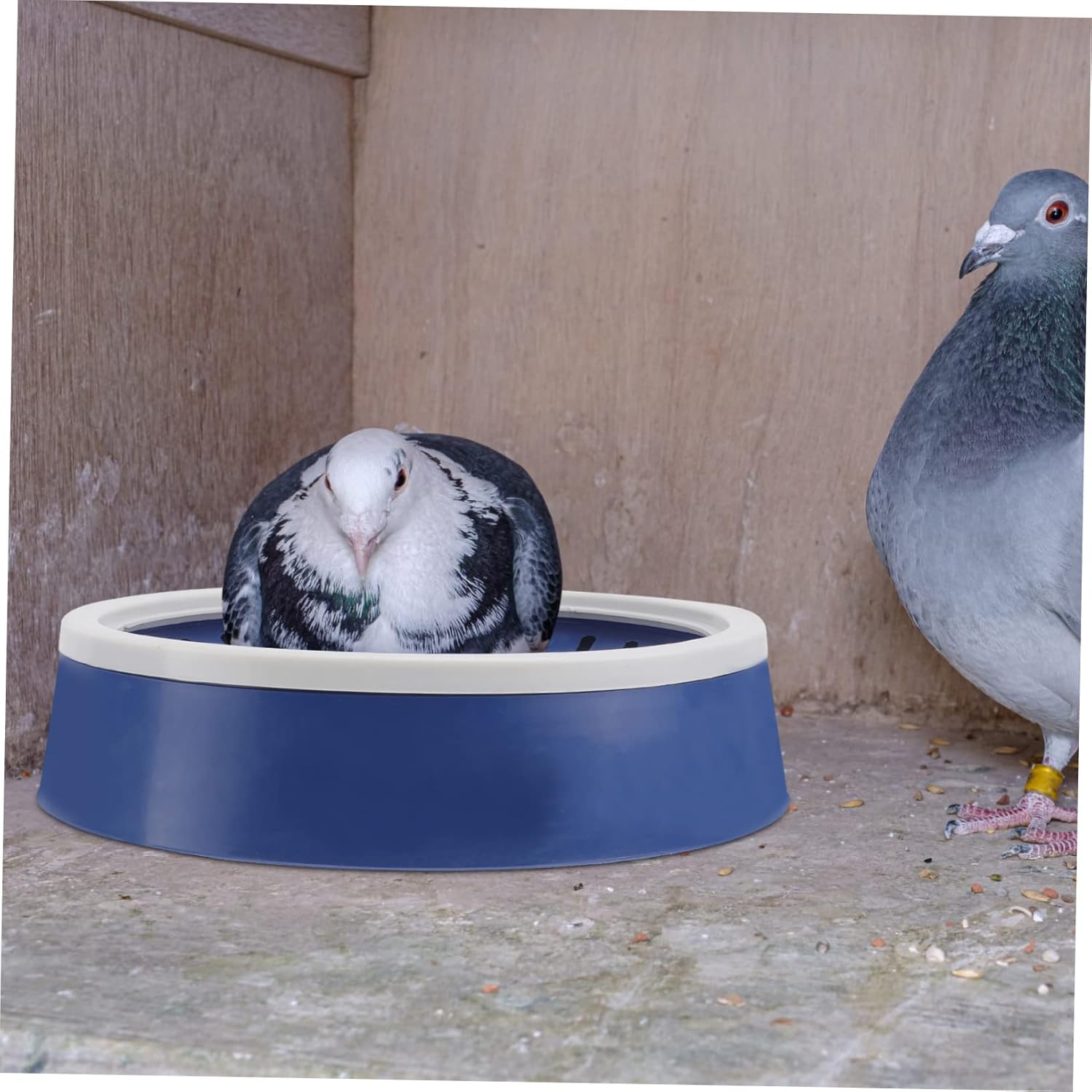 10 Pcs Pigeon Nest Egg Bowl Quail Rat Cage Bird Nesting Bowls Bird Nests Roller Pigeon Nest Hatching Pigeon Nest Felts Canary Nest Parrot Nest Birds Bird Incubate Nest Blue Plastic