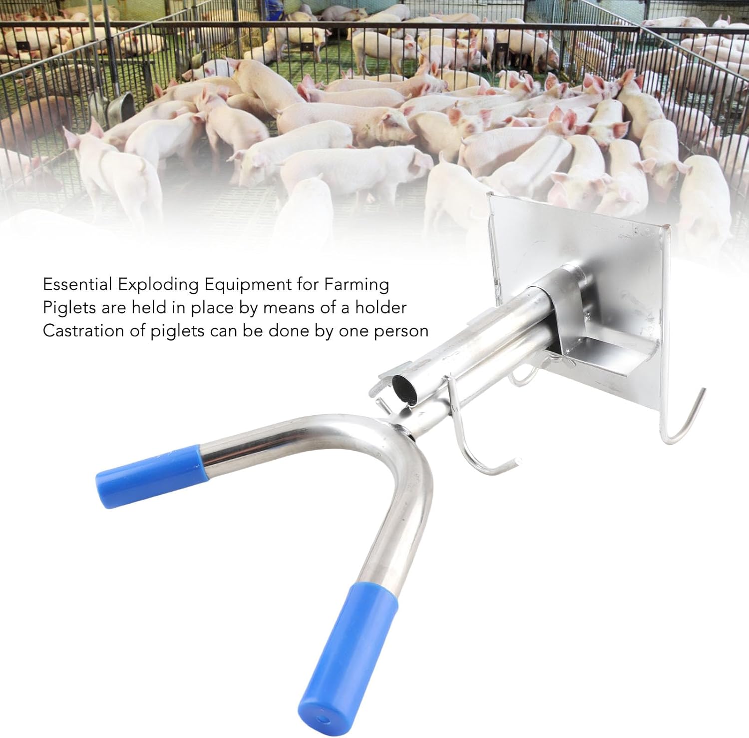 Piglet Castration Rack Stainless Steel Wall Mounted Pig Castration Tool Stable Fixing Holder for Livestock Farm Piglets