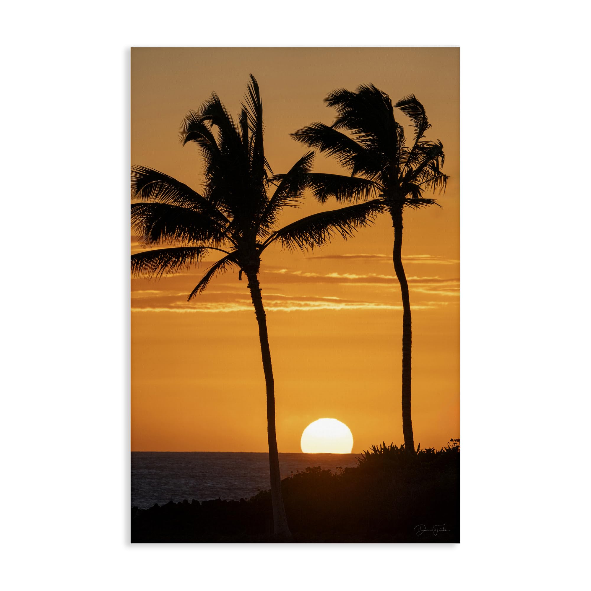 Stupell Industries 'Sunset Through Palm Trees', Canvas Art, 16 x 24 Inches, Easy to Hang and Sturdy, Made in USA, by Dennis Frates