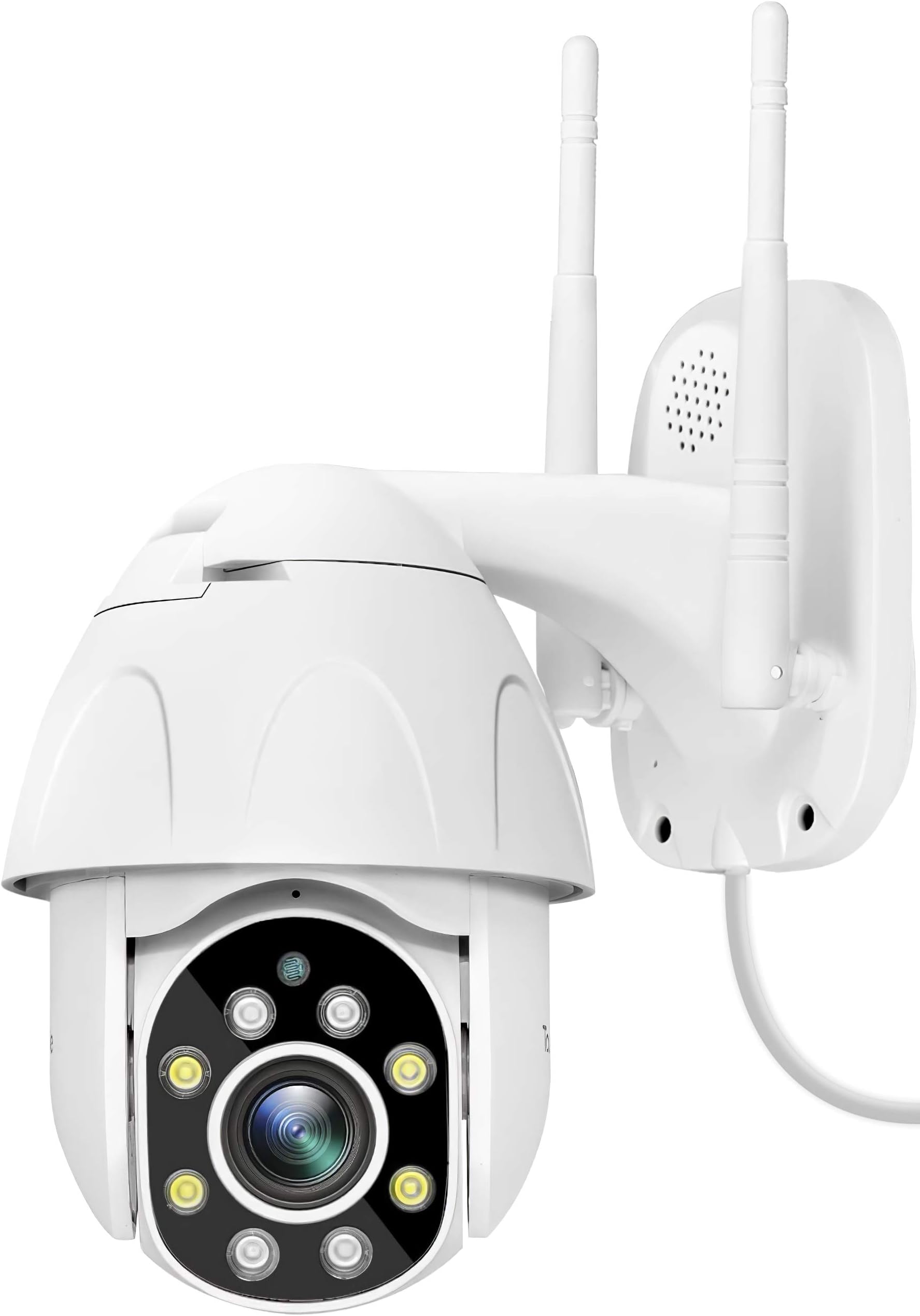 Outdoor Security Camera - TourAlle 1080P HD Pan/Tilt/Zoom Outdoor Surveillance Camera with IP66 Waterproof, Night Vision, Motion Detection, 2-Way Audio,Cloud Storage or SD Card Support,Work with Alexa