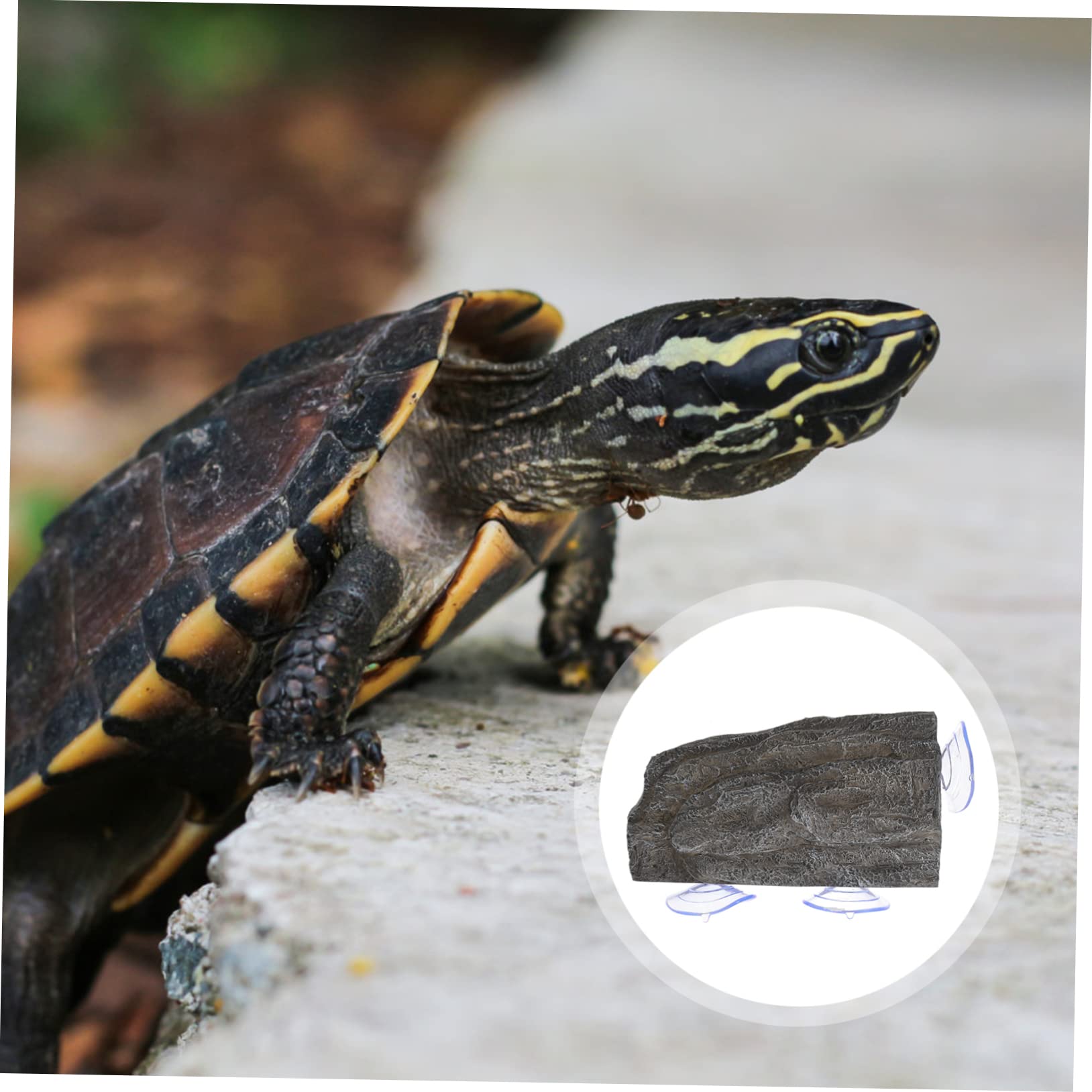 Hohopeti Plataforma para Bañarse para Tortugas con Ventosas Resistentes de Resina para Acuario Elemento Funcional para Reptiles Acuáticos