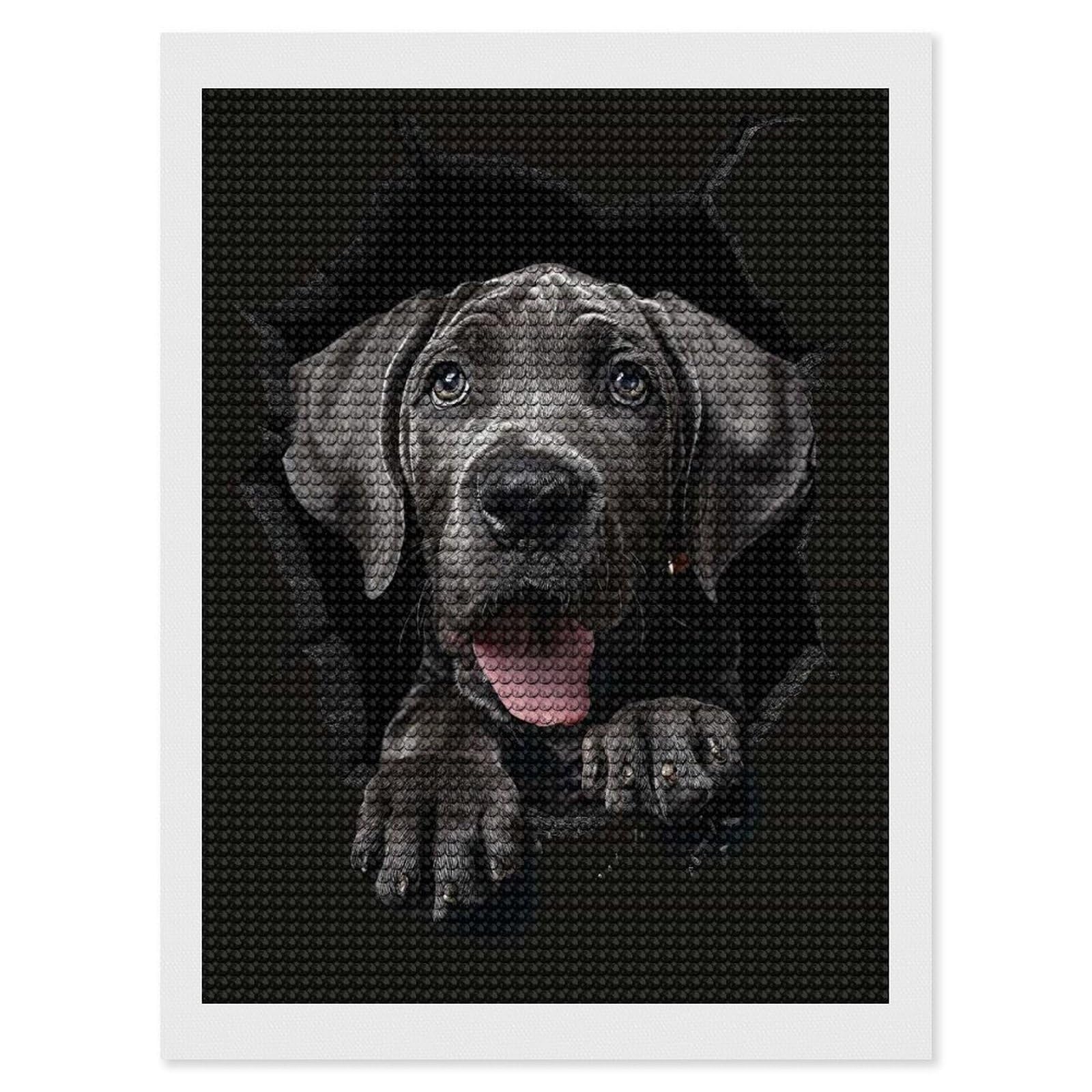 Junmoney Great Dane(2) DIY Diamond Art Canvas Kit 12"x16", Decorate Your Room, Sparkling Round Gems, Fun Craft Experience, Farmhouse Decor