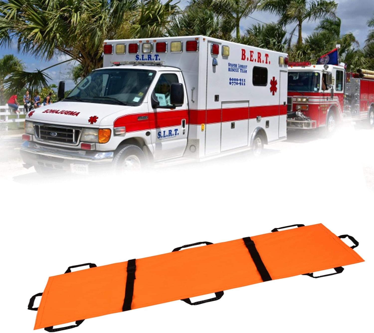 人気 メキシコ伝統工芸 アレブリヘ 青いサメ Taller Casa Cruz