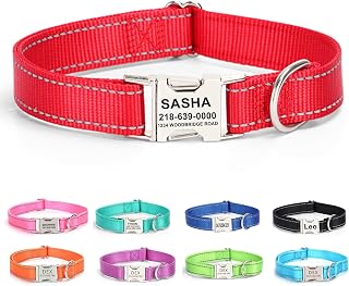 Personalized Dog Collar with Name Tag,Reflective Nylon Pet Collar,Custom Engraved Buckle Dog Collars,Adjustable Pet Collar for Dogs,Christmas Dog Gift (Red)