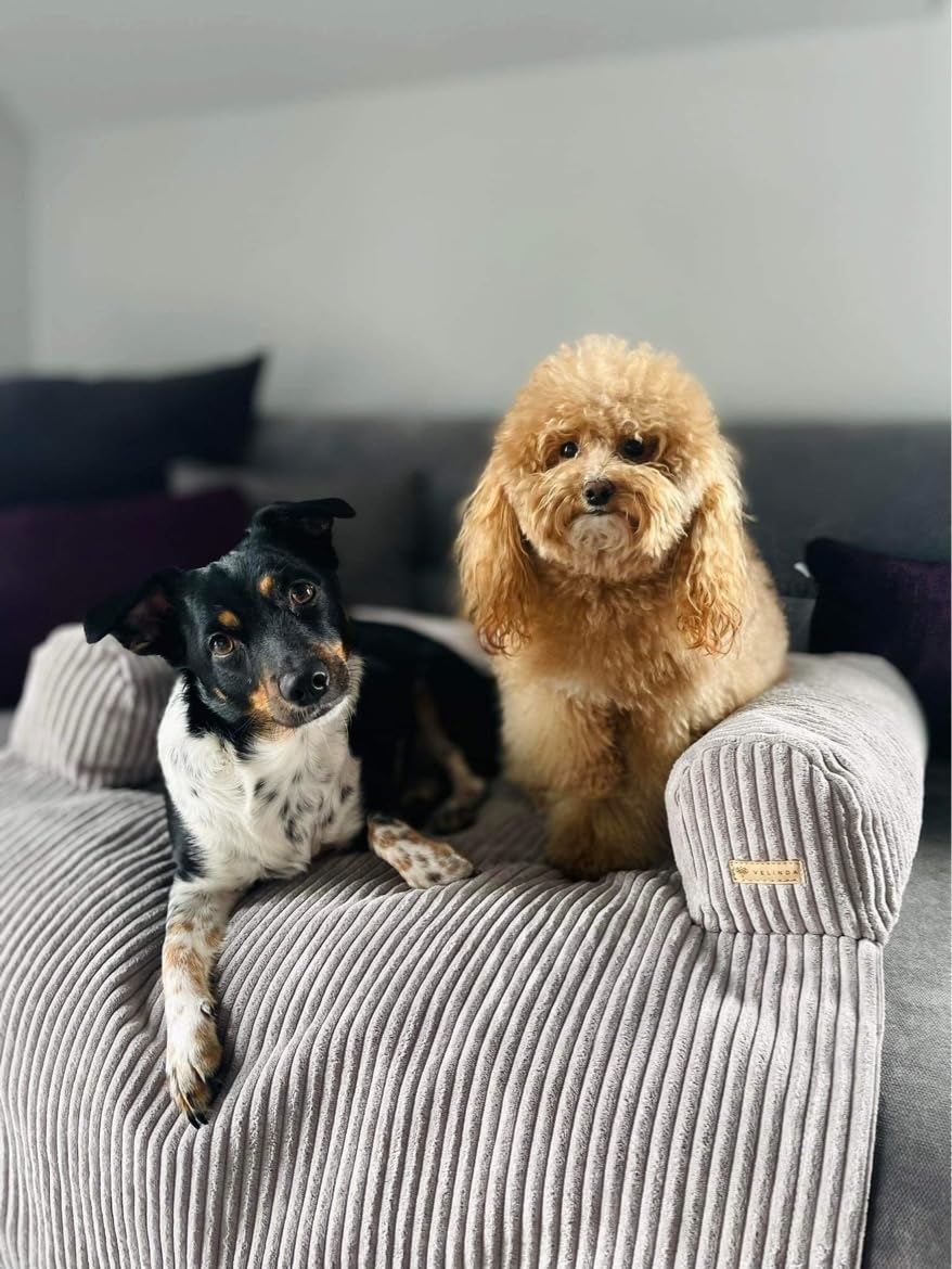 Cuccia Divano Letto per Cani Animali Domestici Cuscino Lettino Morbido (Colore: Grigio (Velluto a Coste))