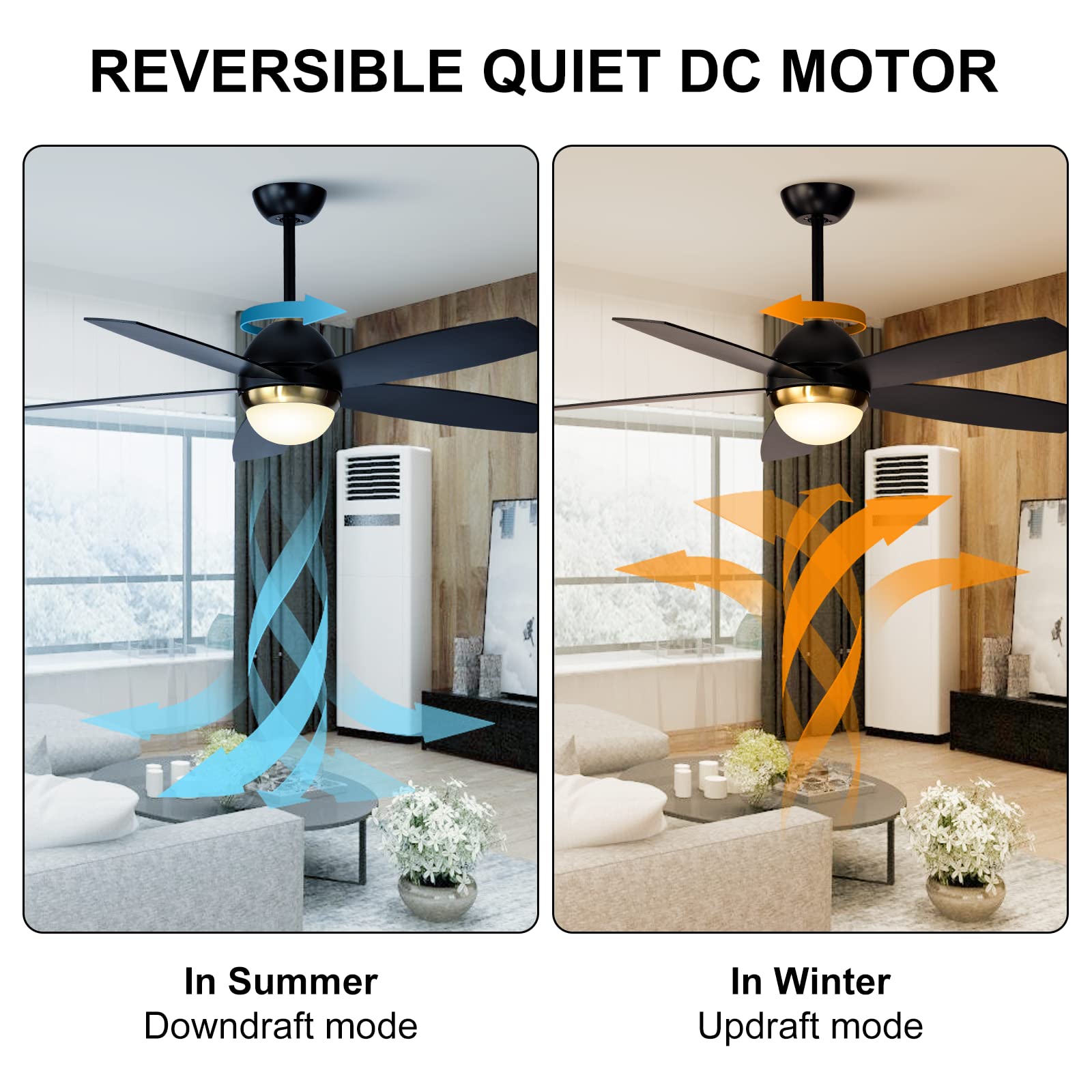 https://m.media-amazon.com/images/I/71mcmnhnTIL.jpg