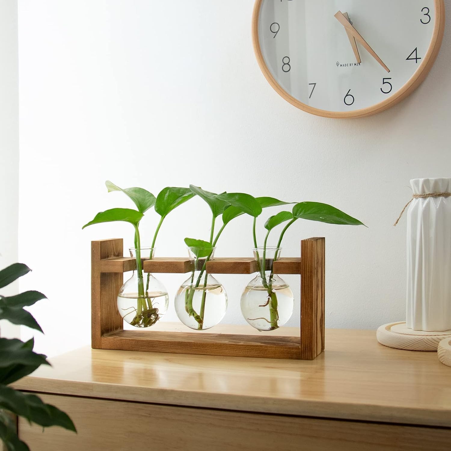 Ivolador Plants Terrarium Glass Bulb Terrarium with Retro Solid Wooden Stand for Hydroponics Plants Desktop Home Garden Wedding Decor : Patio, Lawn & Garden