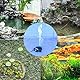 Retoo Mini Wasserpumpe 12V, Submersible Aquariumpumpe 240L/H 4.8W, Brushless Klein Tauchpumpe, Springbrunnenpumpe, Kreiselpumpe, Düsendurchmesser 8 mm, Ohne Stecker,