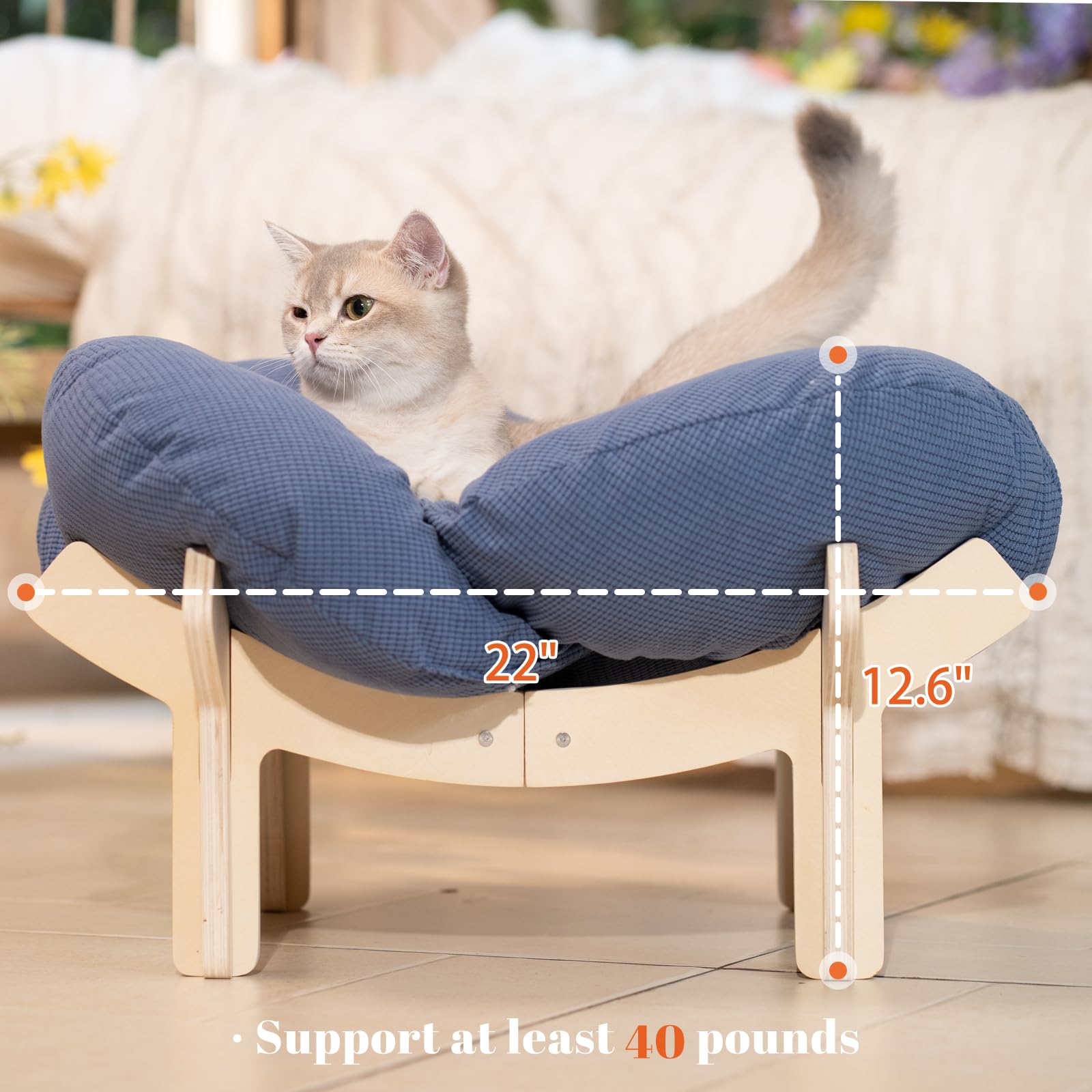 CheerPals Letto per gatti rialzato, a forma di fiore, 55 cm, L&W, grande divano per gatti, elegante e morbido cuscino altamente elastico, per dormire tutti i gatti