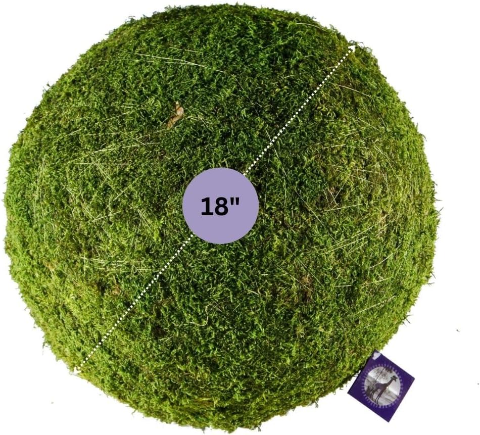 SuperMoss (21679 Preserved Moss Balls – Natural Green Decor for Home, Weddings & Events – Vase Fillers & Centerpieces, 18”, Fresh Green