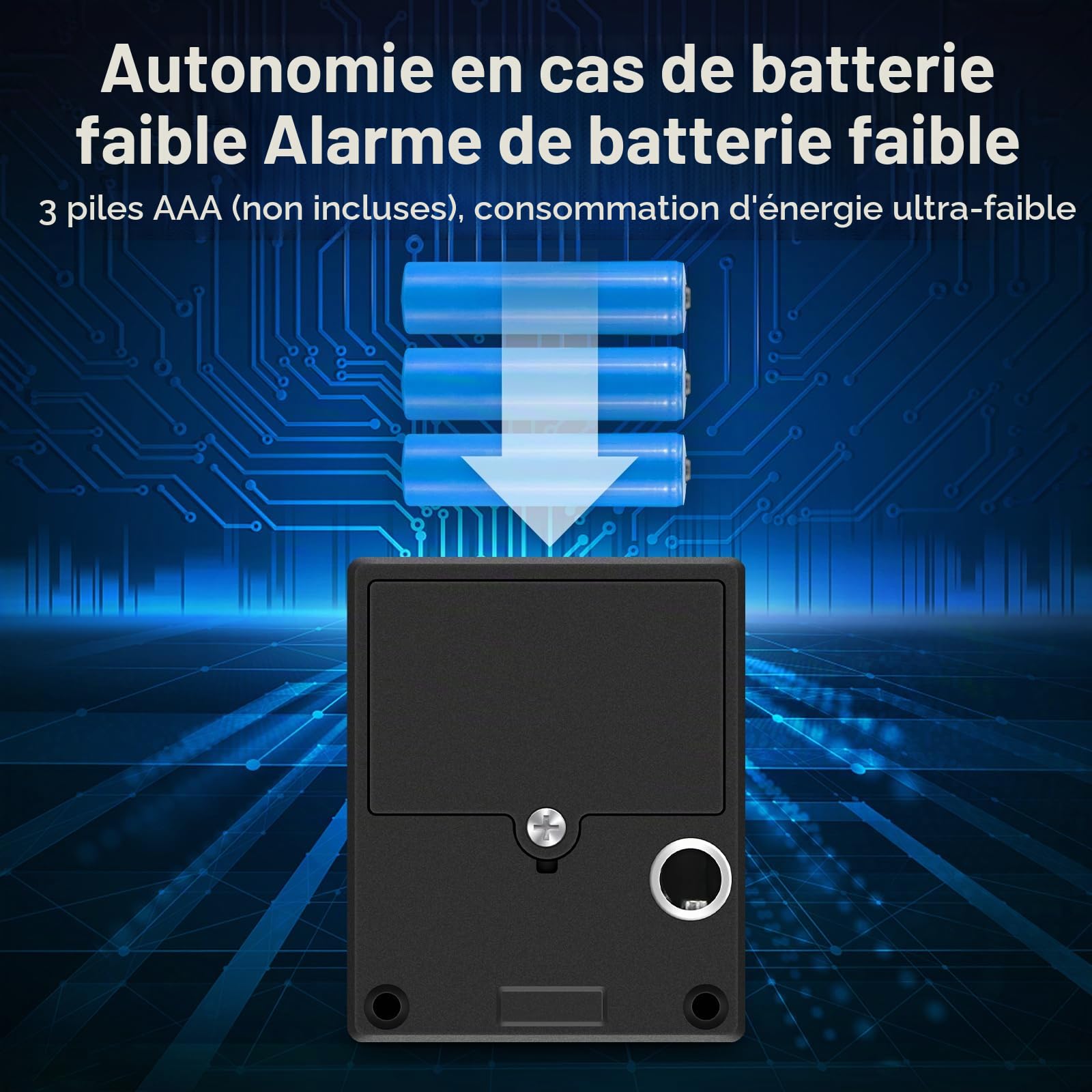 Serrure D'armoire à Empreinte Digitale Sans Clé pour Maison/Bureau | Serrure Biométrique Intelligente de Casier, Serrure à Empreintes Digitales Rechargeable USB
