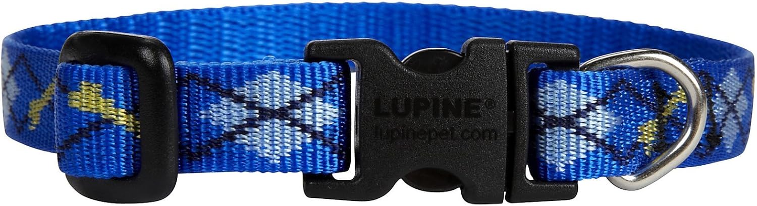 LupinePet Originals 1/2″ Dapper Dog 10-16″ Adjustable Collar for Small Dogs