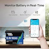 Batterie Lifepo4 300Ah 12V, EconomiPower 3840Wh batterie lithium BMS 200A, Max 15000 temps de cycle et 10 ans de durée de vie, idéal pour solaire, camping-car, d'électricité, off-grid - 3