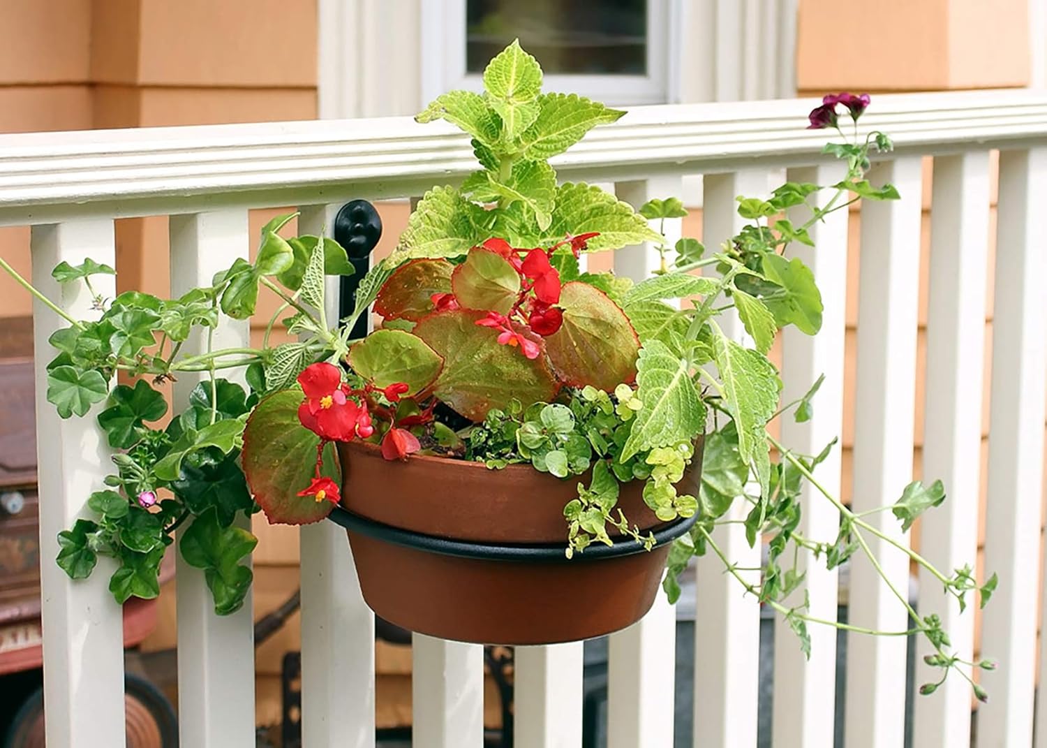 Flower Pot Ring, 8 inch 2-Pack