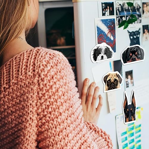 Miniatura 5 de WIRESTER Juego de 4 divertidos imanes decorativos para el hogar, oficina, aula, imanes acrílicos para pegar en computadora, nevera, lavadora,