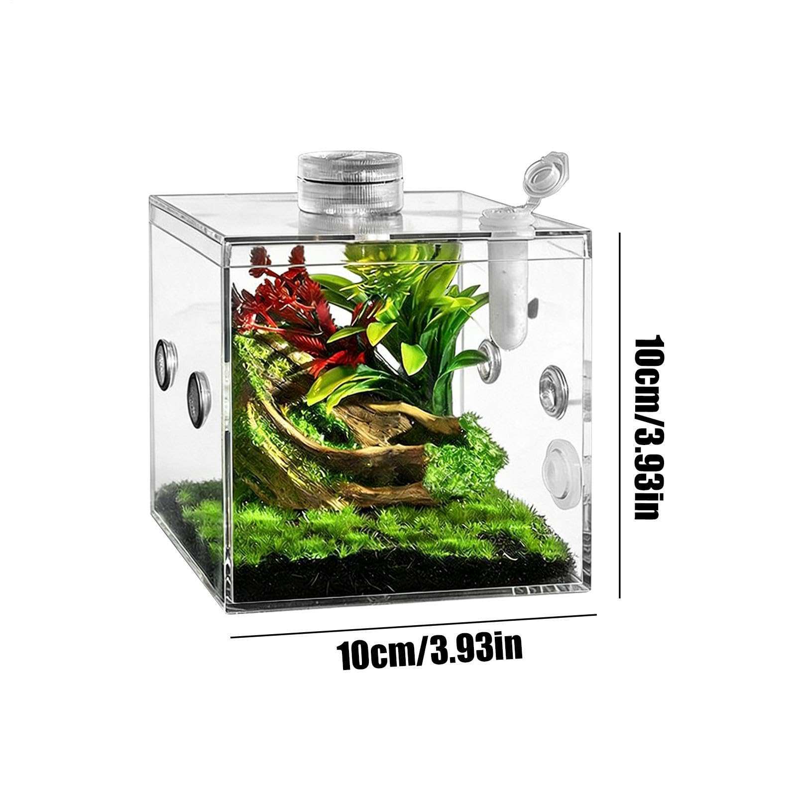 Recinto para Arañas Saltadoras, Juego De Cría De Reptiles Acrílico Transparente con Recinto, Paisaje, Dispositivo De Ventilación, Plato, Dispositivo De Iluminación para Tarántulas Arbóreas — view 3