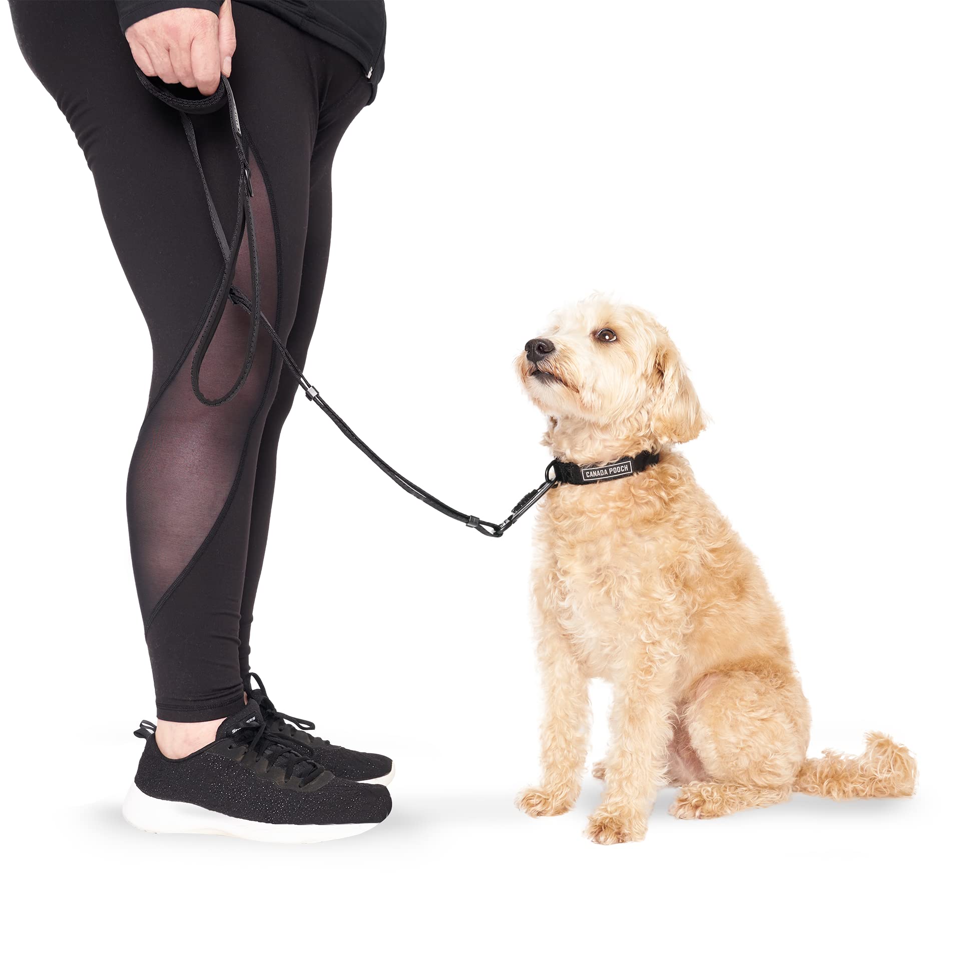 Canada PoochDog Utility Leash - Durable Nylon Heavy Duty Dog Leash with Neoprene Padded Handle | 4ft to 6ft Adjustable Dog Leash with Extra Strength Carabiner for Collar