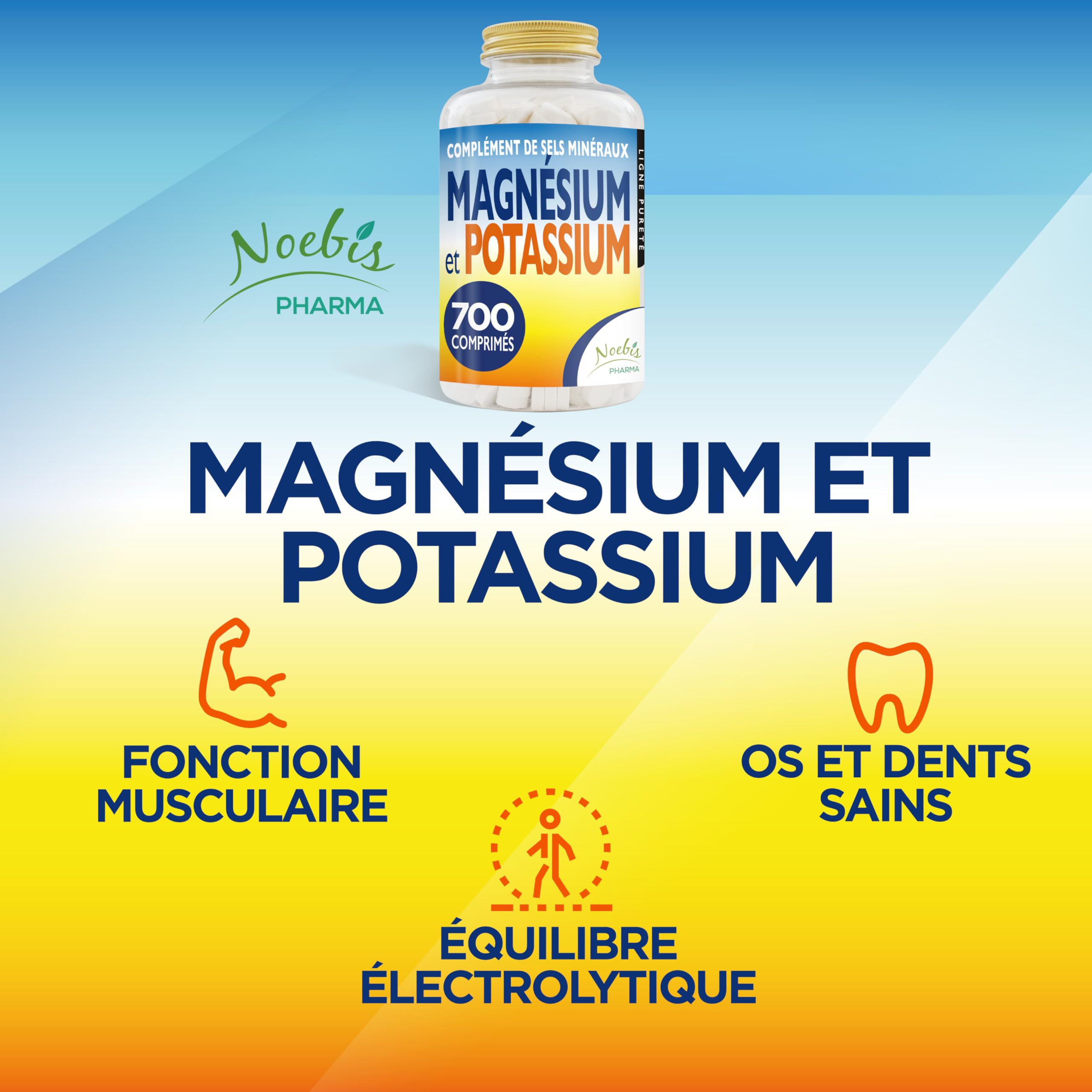 Magnésium et Potassium 700 comprimés - Citrate de magnésium et de potassium - Contre la fatigue et l'épuisement physique, la chaleur, sels minéraux organiques hautement assimilables