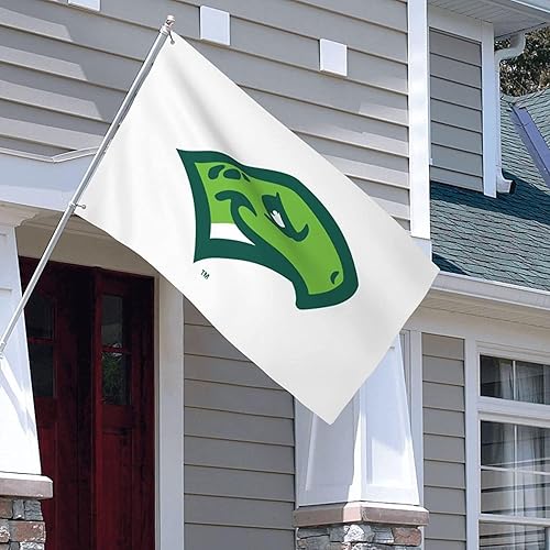 Miniatura 7 de Daytona Tortugas Double Sided Garden Flag 3x5 Ft Decor Outdoor Banner Sign Party Parade Breeze Home Fade Proof Flags