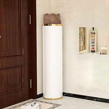 【✩】設置が非常に簡単なシューズキャビネット 71UJmFmoJQL._AC_UF894,