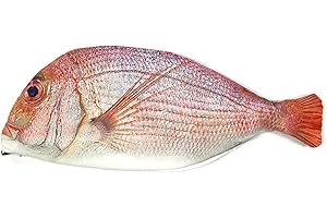 Wrapables Red Fish Style Pencil Case