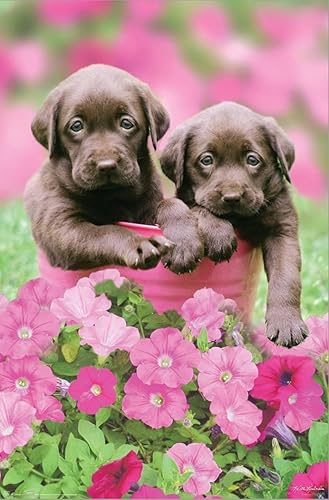Vista 2 de Trends International Keith Kimberlin - Labs Wall Poster, 14.72" x 22.37", Stretched Canvas