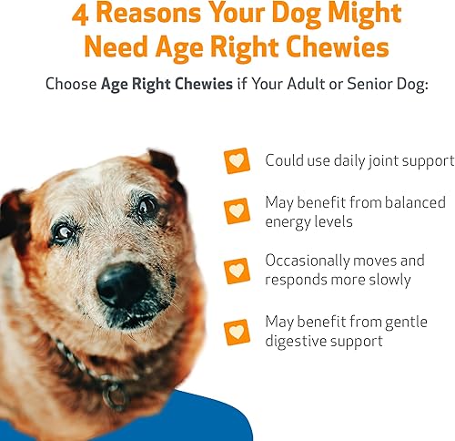 Miniatura 2 de Pet Wellbeing Age Right - Masticables para perros en sus mejores y mayores años - Formulados por veterinarios - Soporte multifuncional diario para
