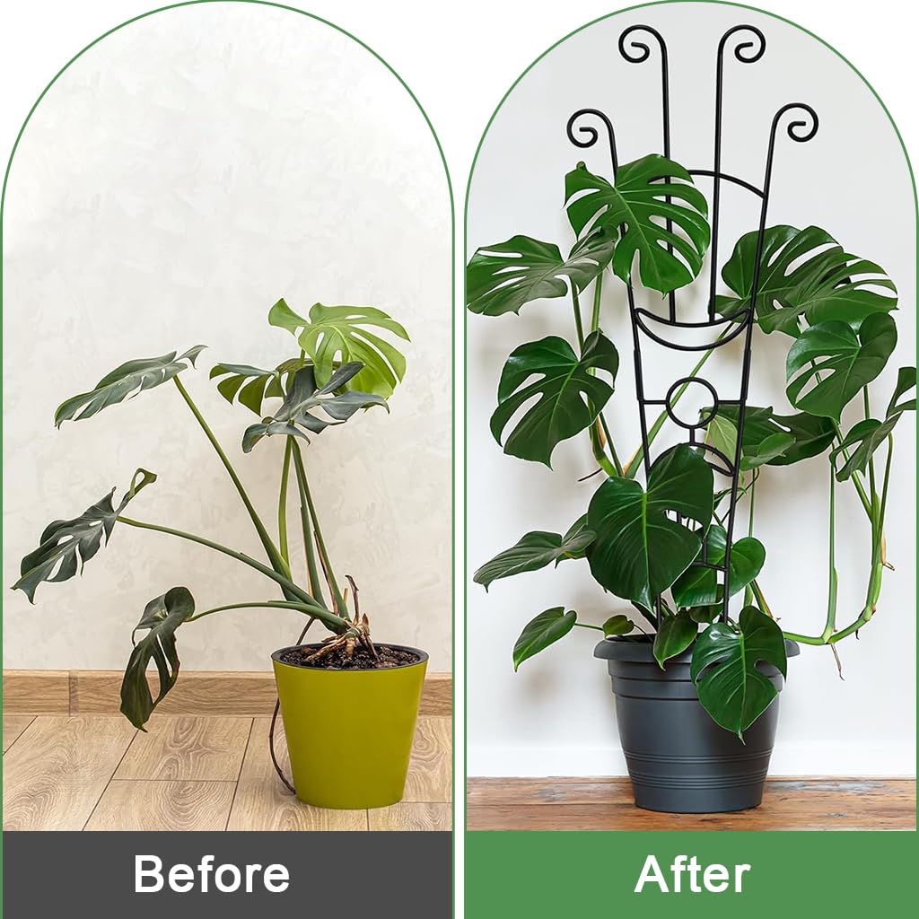 Metal Flower Trellis - Support Climbing Plants -5