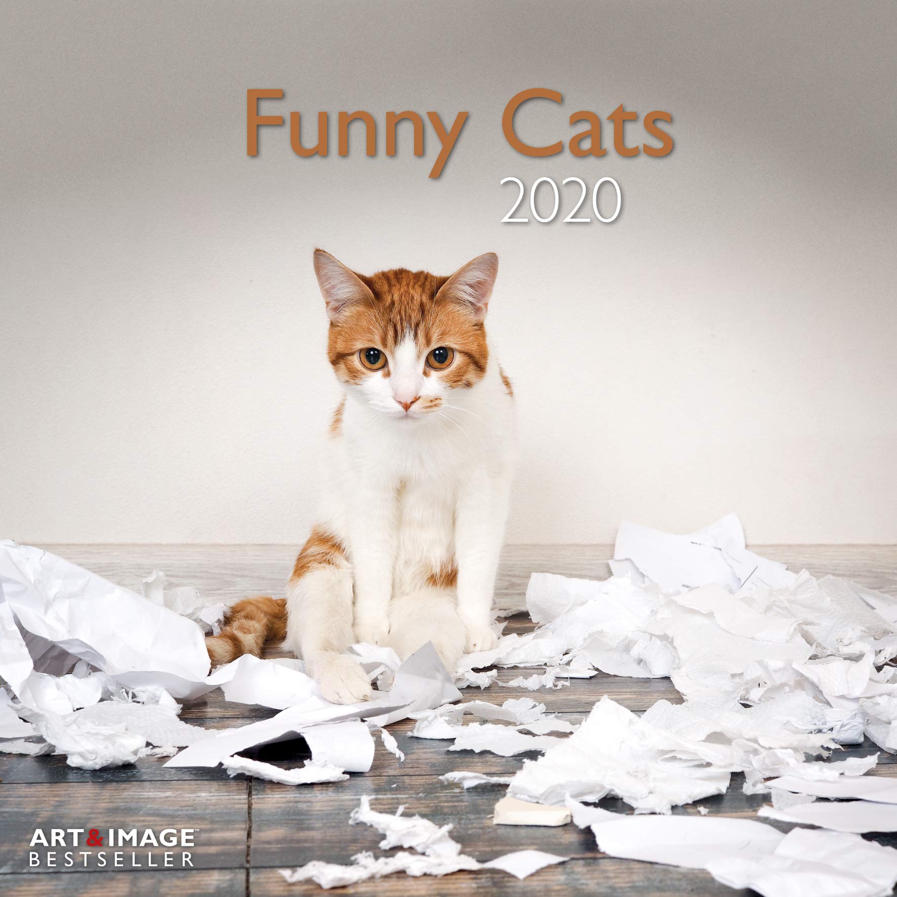 2020 Calendar with Funny Cat / Cat / Baille / Cat / Glasses / Cat / Feline / 30 x 30 cm (TN) + Pocket Diary 2020