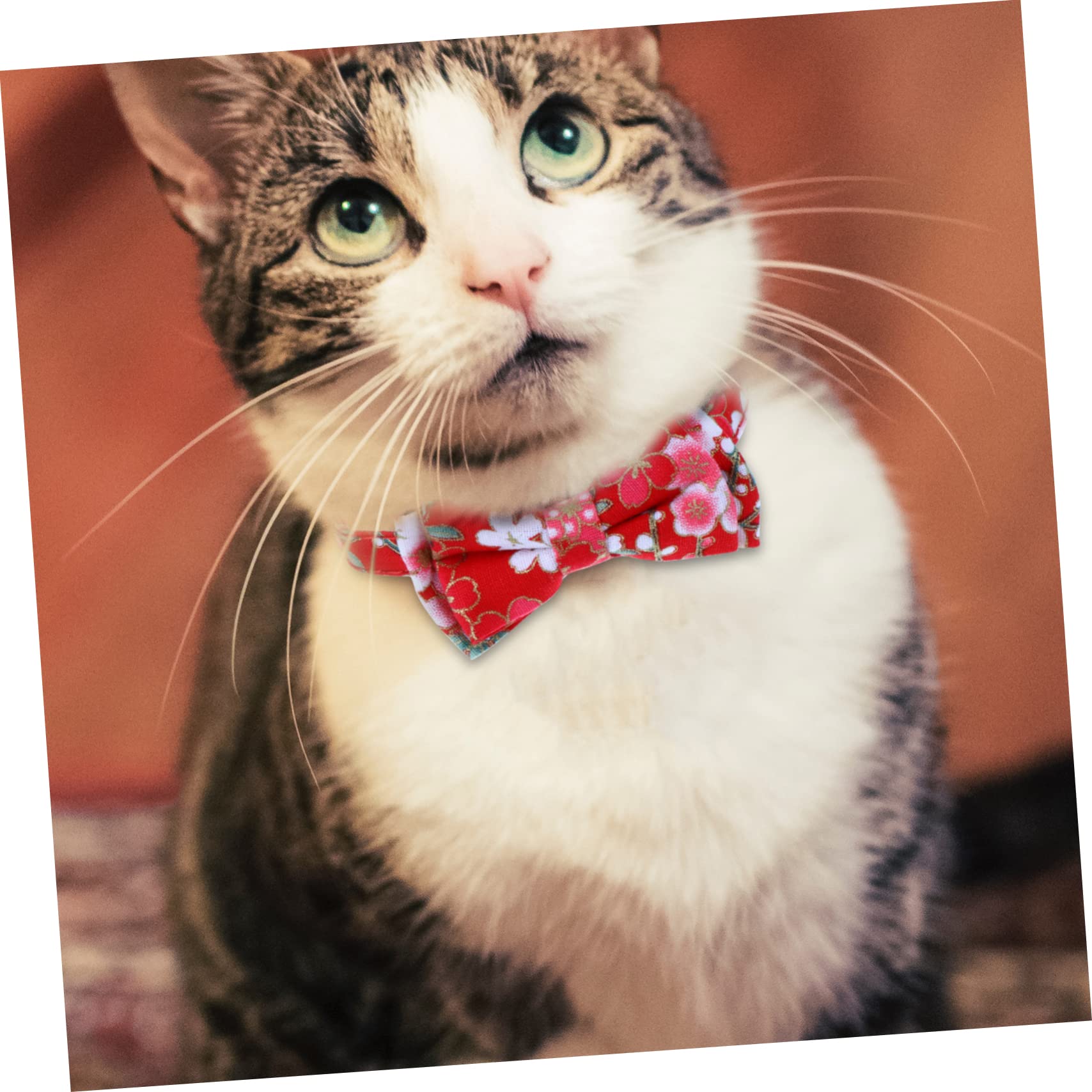 POPETPOP Lot De 2 Colliers pour Chat avec Clochette Tendance Et Adorable Matériau Doux Facile À Installer 3 Pièces X 2