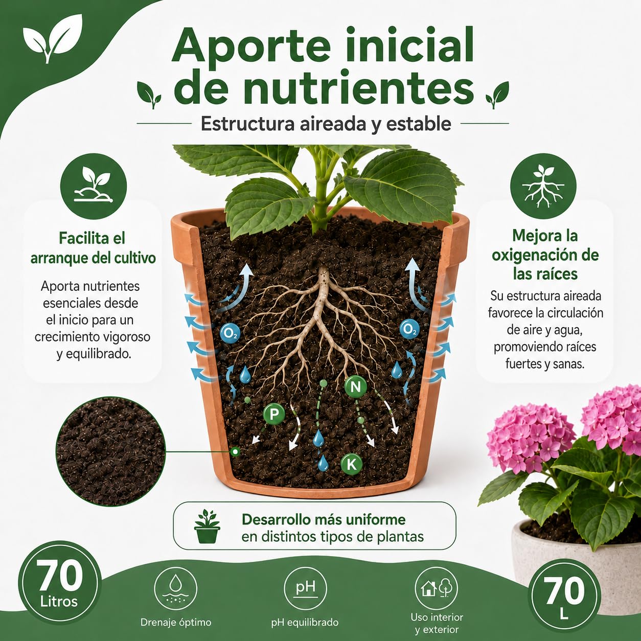 FLORAPL70 Sustrato Floraplant, Negro (1 Unidad)