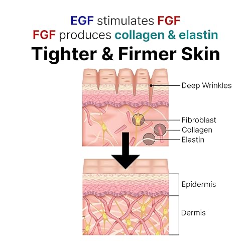 Miniatura 6 de LANBELLE Ultra Lifting EGF FGF 10 ppm Ampolla Serum w/Centella Asiatica Hialuronic Acids | Mejora el equilibrio de la piel Elasticidad Reduce las