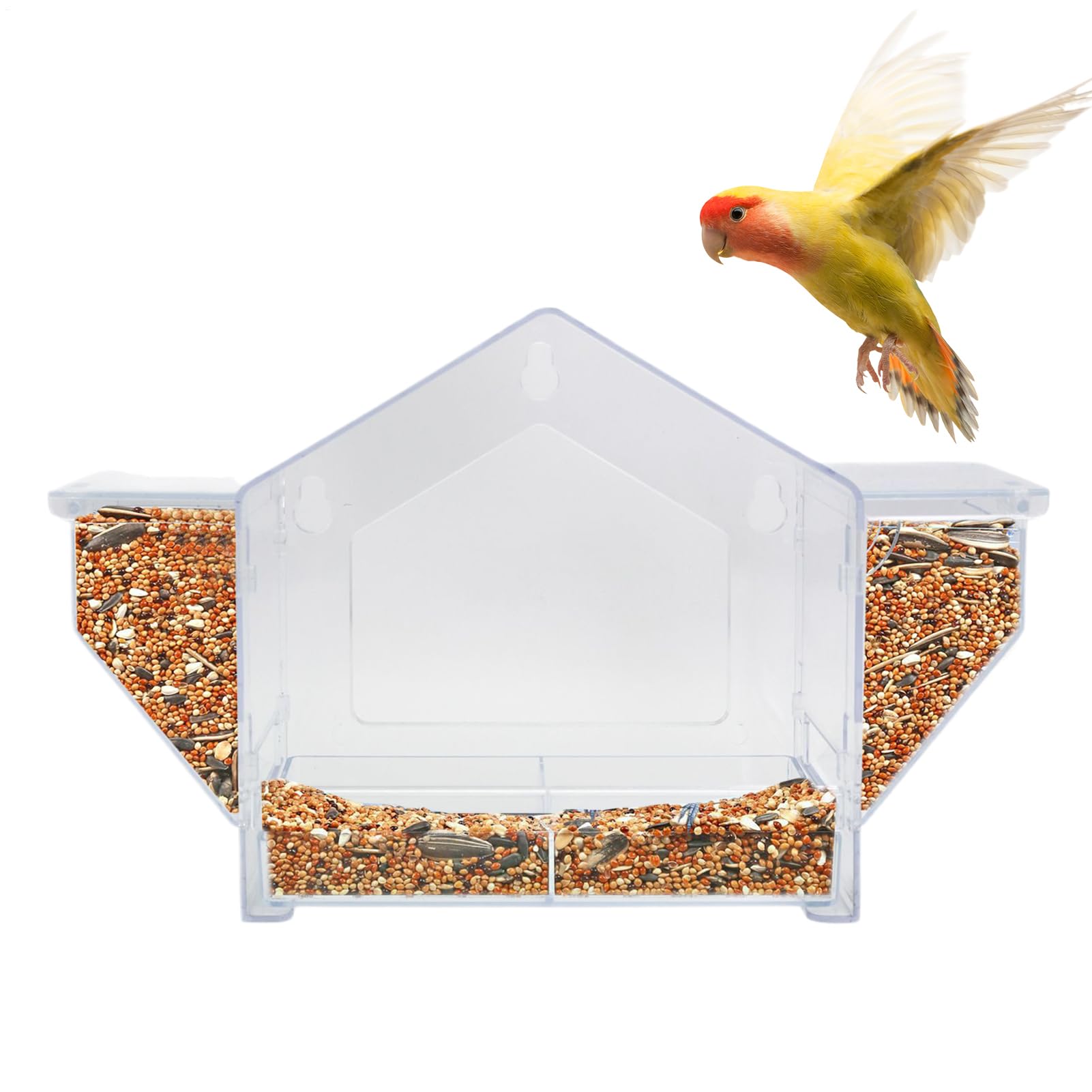 Mangeoire à oiseaux extérieur nid d'oiseaux suspendu pour moineau calopsitte perruche conure