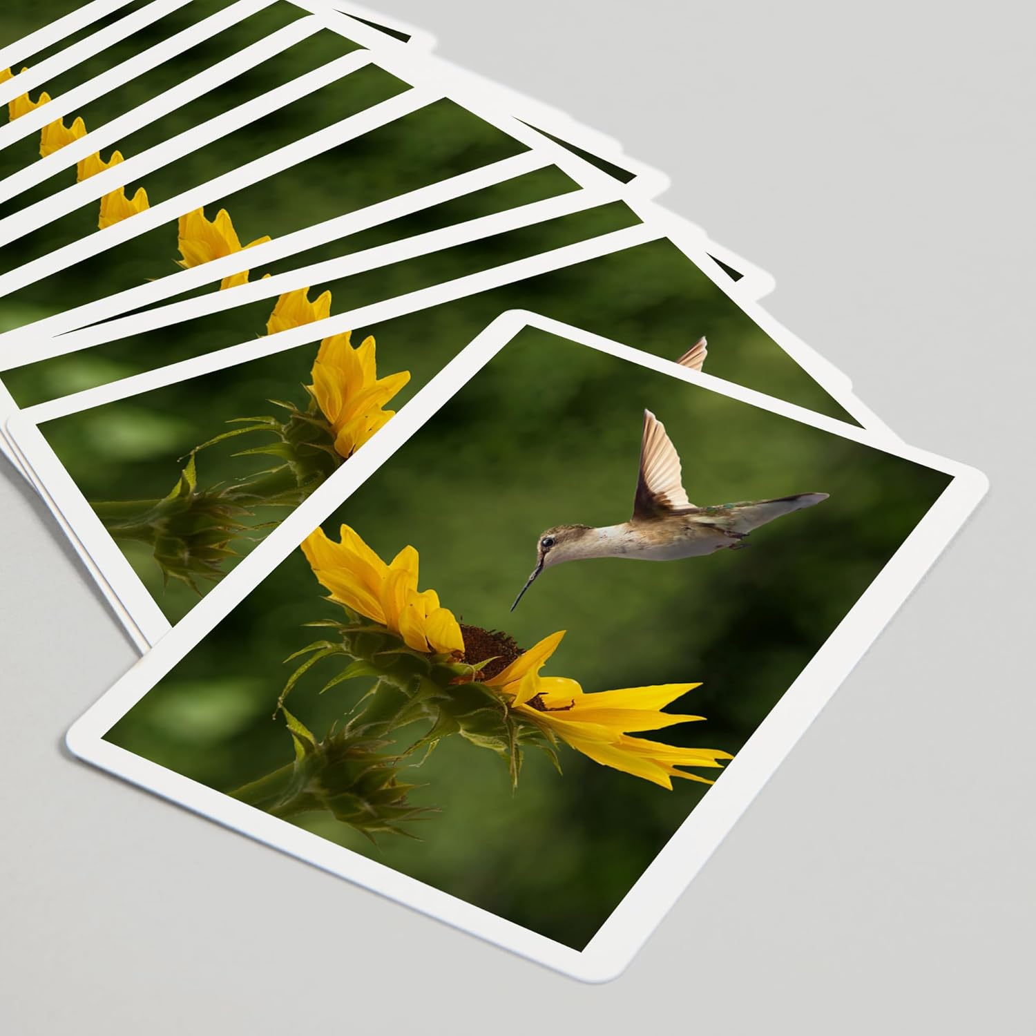 Lantern Press Hummingbird, 52 Playing Cards for Adults, Poker Size Card Deck