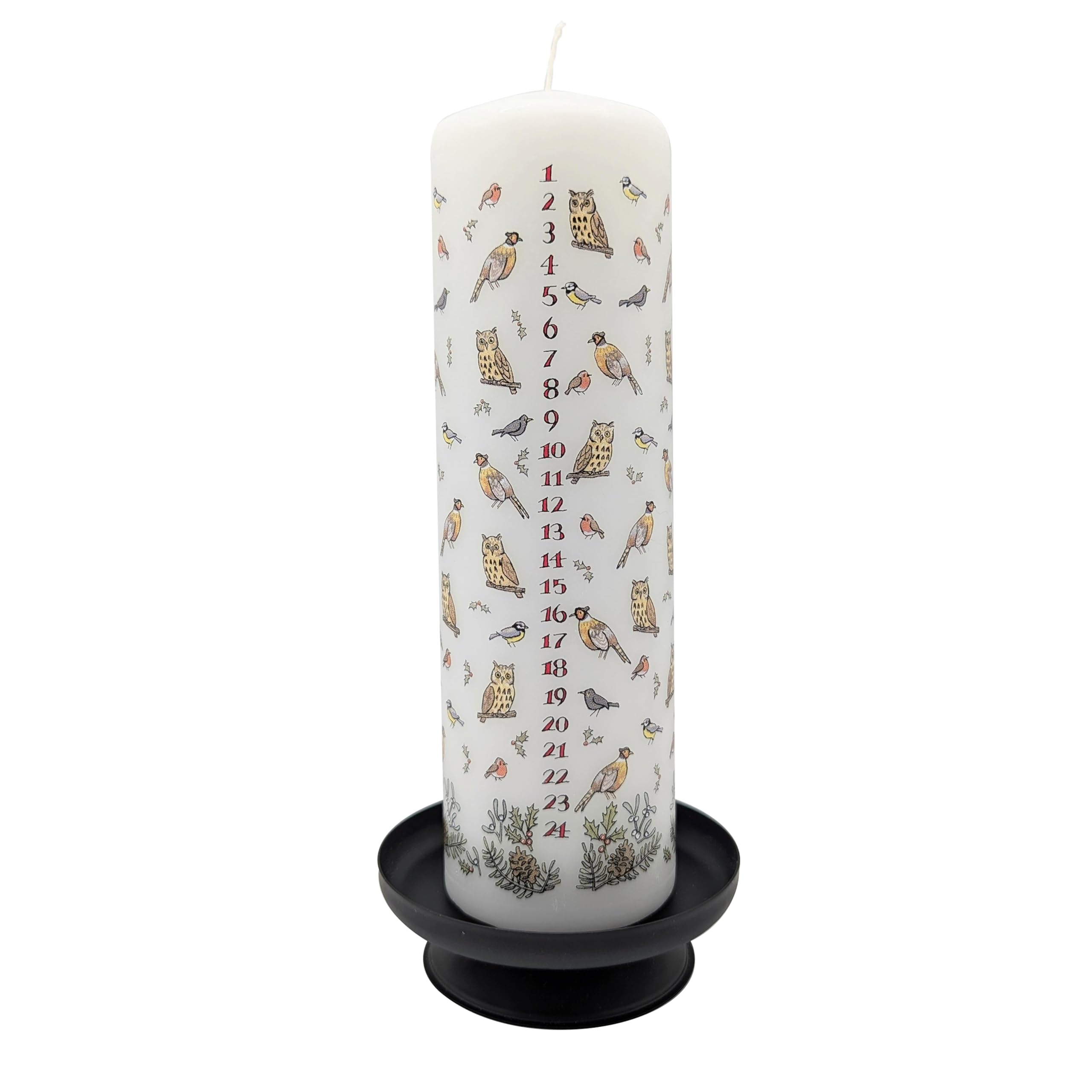 Alison Gardiner Multi-Colored Winter Birds Advent Pillar Candle – Unscented Wax Christmas Countdown, 70Hr Burn, Handmade In Uk – Festive Candle For Table, Mantelpiece & Seasonal Décor
